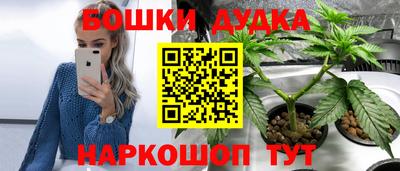 сатива Усть-Илимск