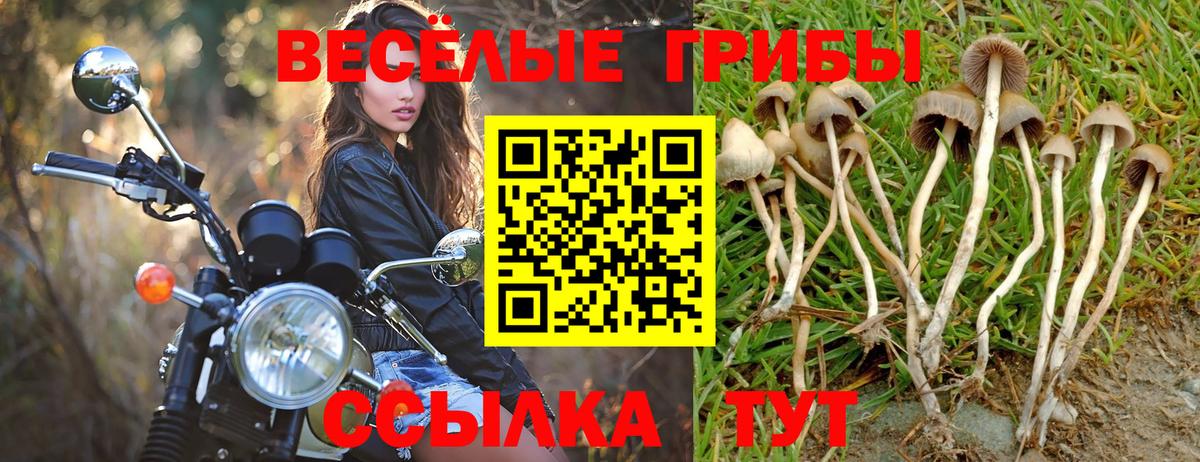 Псилоцибиновые грибы ЛСД Аша